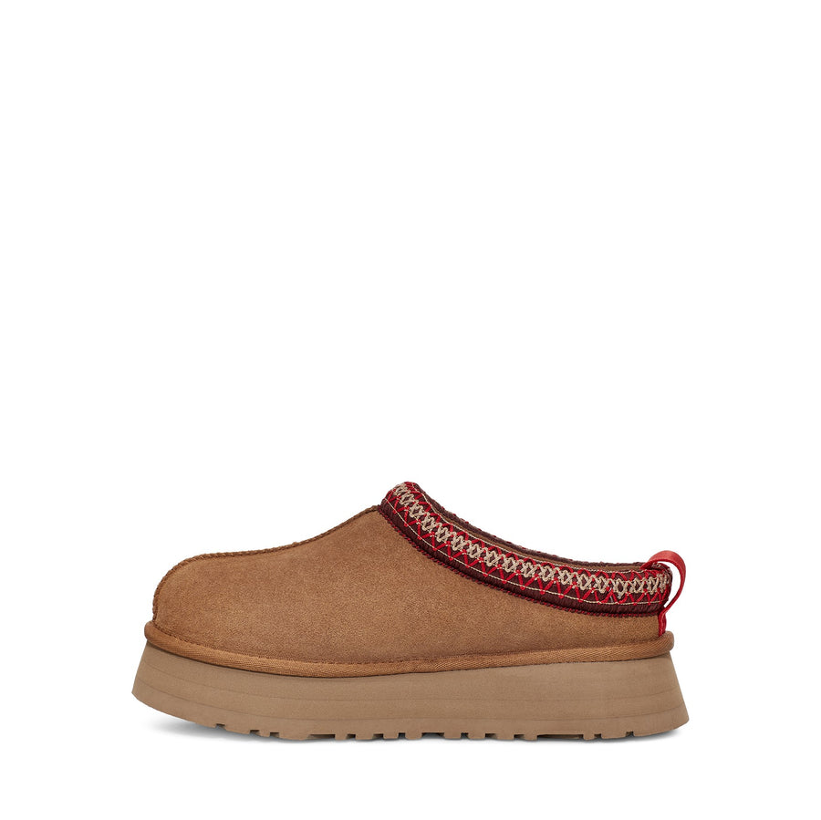 UGG Women's Tazz Slipper | more colors available