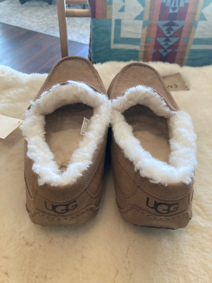 [Final Sale] UGG Ascot Chestnut Men's Size 12 3E wide