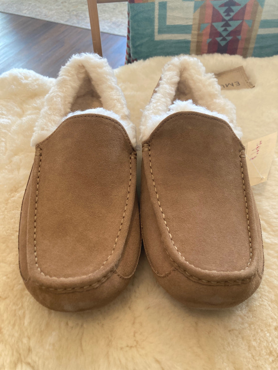 [Final Sale] UGG Ascot Chestnut Men's Size 12 3E wide