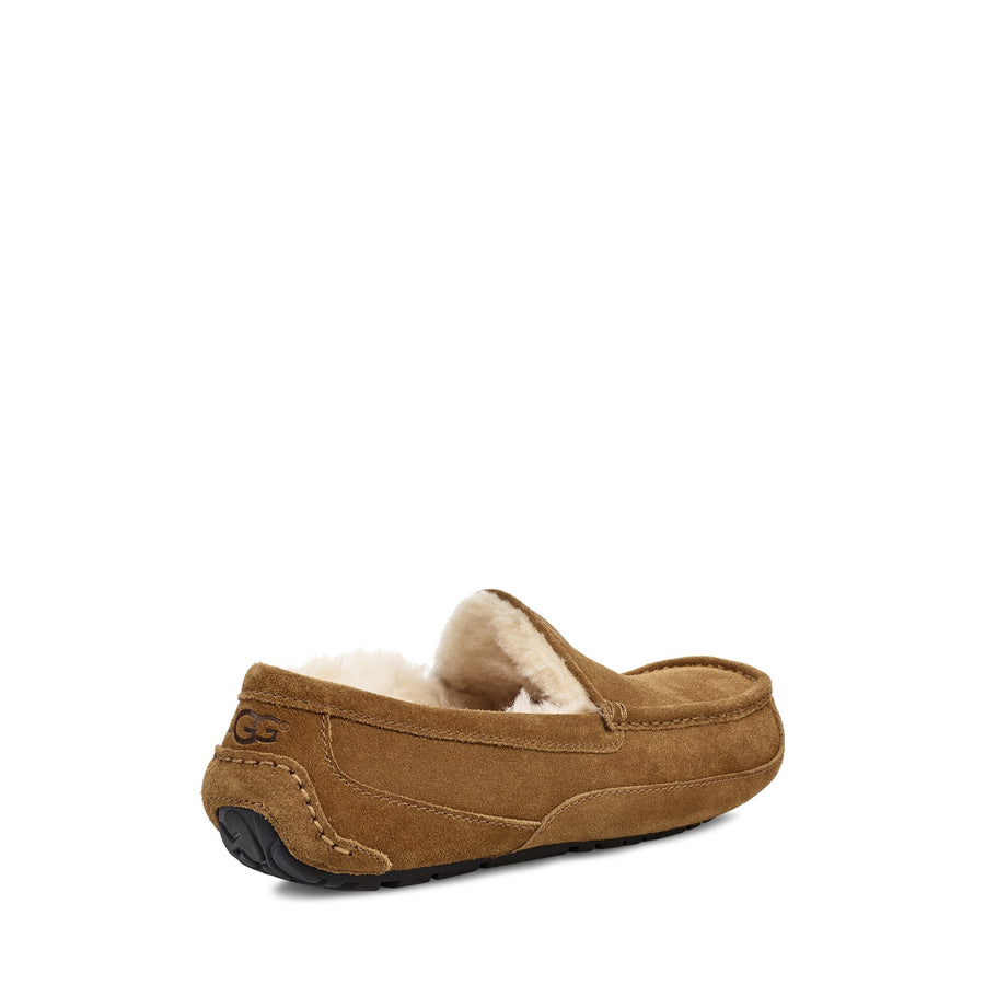Men's UGG Ascot Wide Slippers | more colors available