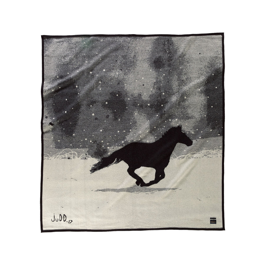 Pendleton Artist Collection Twin Size Blankets | more colors available